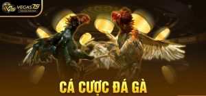 ca cuoc da ga vegas79