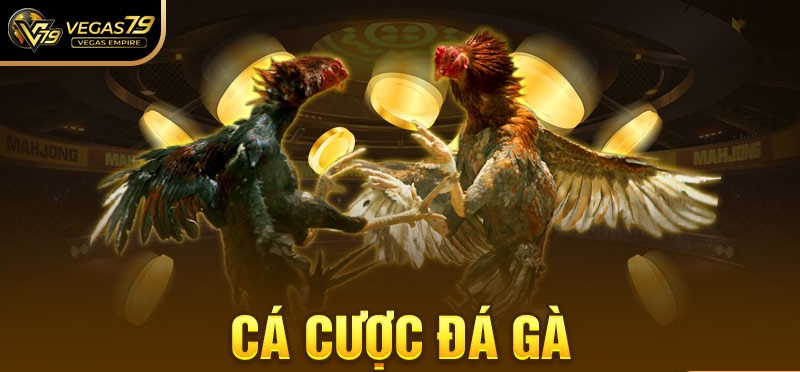 ca cuoc da ga vegas79