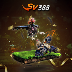 sv388 vegas79