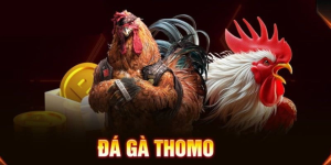 Đá Gà Thomo trên Vegas79