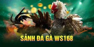 sanh-da-ga-ws168