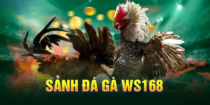 sanh-da-ga-ws168